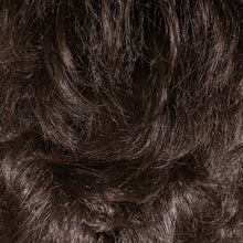 Load image into Gallery viewer, BA501 P. Char: Bali Synthetic Hair Wig