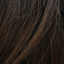 Load image into Gallery viewer, 02-1 | Root 1B/04  - Off Black root, the rest is Dark Brown