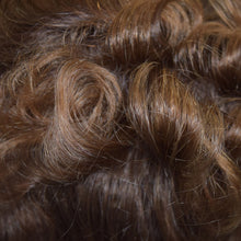 Load image into Gallery viewer, 06/10T - Medium Chestnut Brown tipped w/ Medium Golden Brown