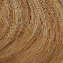 Load image into Gallery viewer, 126 Viva by WIGPRO - Hand Tied Wig
