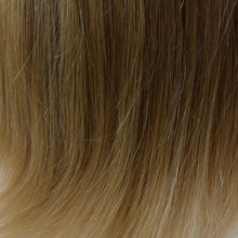 Load image into Gallery viewer, 08/14T - Light Chestnut Brown tipped w/ Honey Blonde
