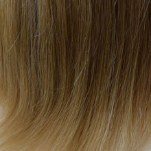 Load image into Gallery viewer, 08/14T - Light Chestnut Brown tipped w/ Honey Blonde