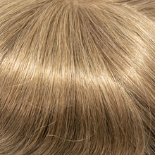 Load image into Gallery viewer, 08/27T - Light Chestnut Brown tipped w/Strawberry Blonde