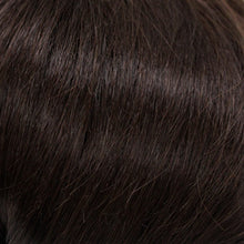 Load image into Gallery viewer, 821 Demi Topper by Wig Pro: Synthetic Hair Piece