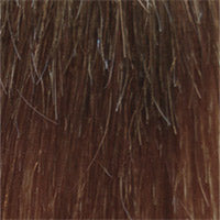 Load image into Gallery viewer, 504 Anemone: Synthetic Wig by WIGPRO