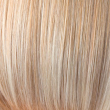Load image into Gallery viewer, Jade Wig by Rene of Paris