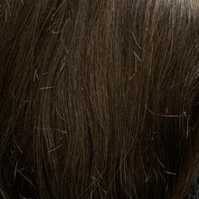 Load image into Gallery viewer, 161 Men&#39;s Theatrical Wig (Short)

