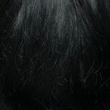 Load image into Gallery viewer, 161 Men&#39;s Theatrical Wig (Short)
