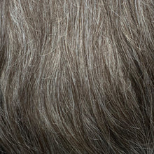 Load image into Gallery viewer, 161 Men&#39;s Theatrical Wig (Short)
