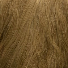 Load image into Gallery viewer, 161 Men&#39;s Theatrical Wig (Short)
