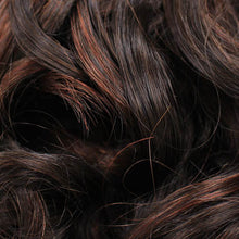 Load image into Gallery viewer, BA521 Danielle: Bali Synthetic Hair Wig
