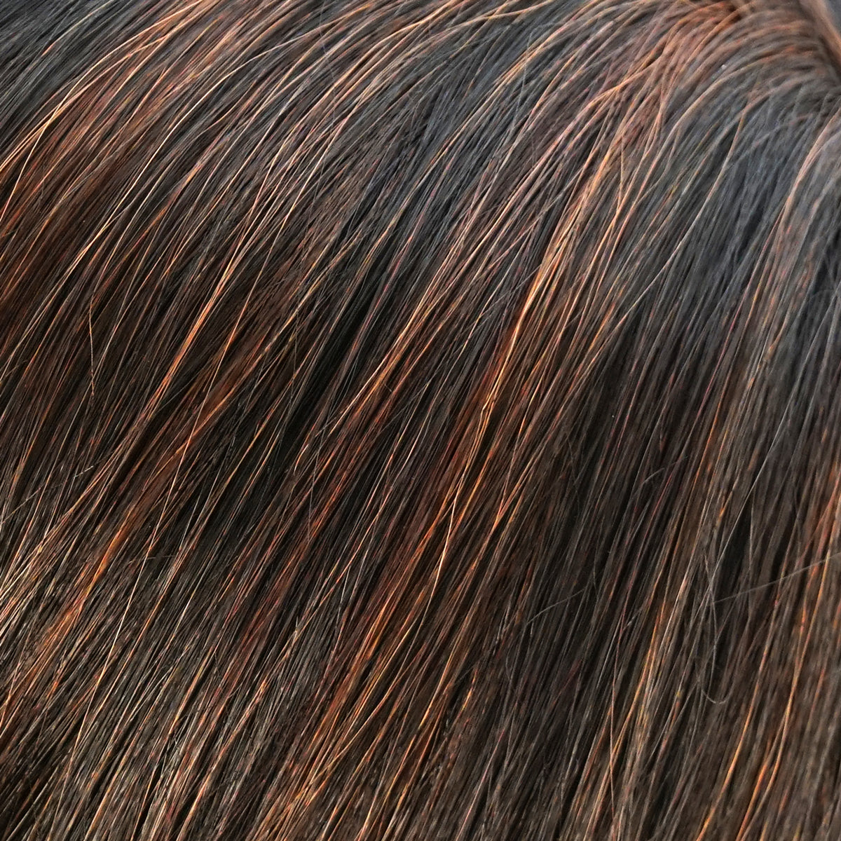 Eve | Lace Front Mono Top Heat-Friendly Synthetic Wig